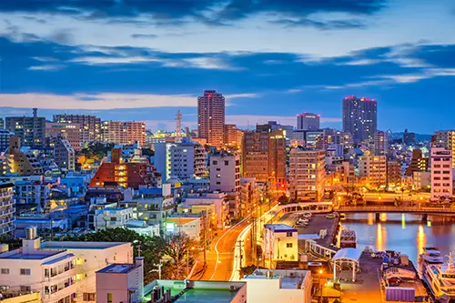 Popular searches